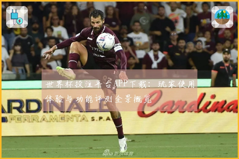 世界杯投注平台APP下载：玩家使用体验与功能评测全景概览