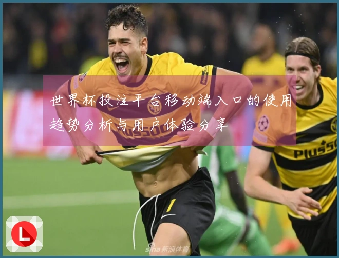 世界杯投注平台移动端入口的使用趋势分析与用户体验分享
