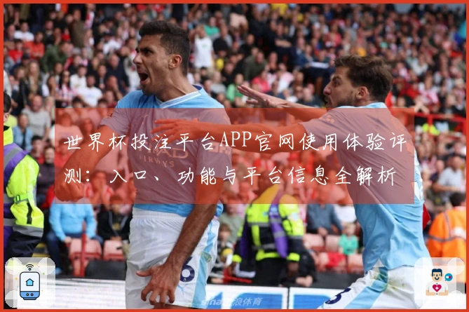 世界杯投注平台APP官网使用体验评测：入口、功能与平台信息全解析
