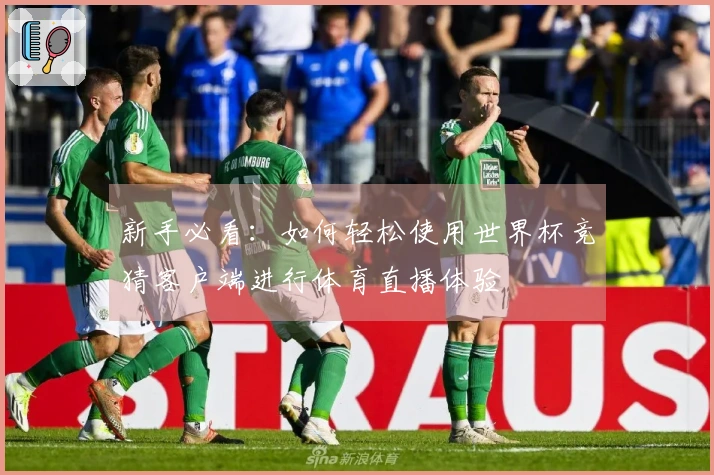新手必看：如何轻松使用世界杯竞猜客户端进行体育直播体验