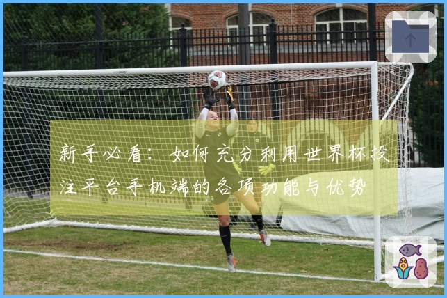 新手必看：如何充分利用世界杯投注平台手机端的各项功能与优势