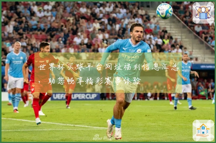 世界杯买球平台网址福利信息汇总，助您畅享精彩赛事体验