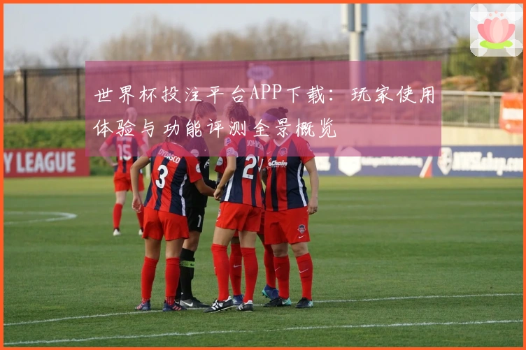 世界杯投注平台APP下载：玩家使用体验与功能评测全景概览