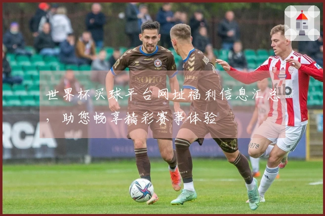 世界杯买球平台网址福利信息汇总，助您畅享精彩赛事体验