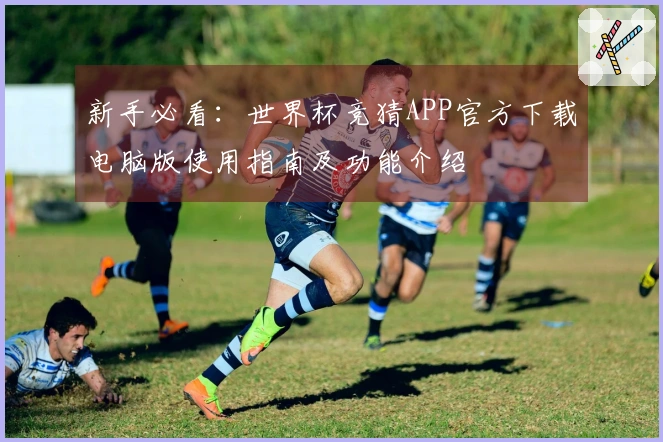 新手必看：世界杯竞猜APP官方下载电脑版使用指南及功能介绍