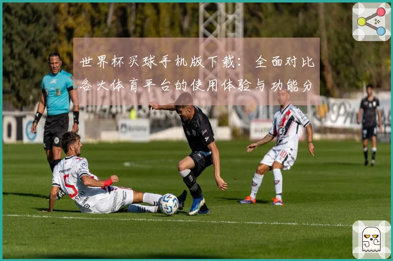 世界杯买球手机版下载：全面对比各大体育平台的使用体验与功能分析