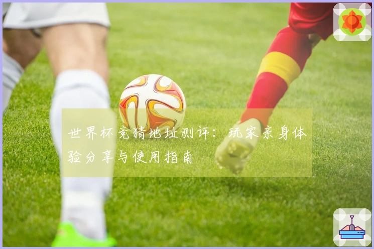 世界杯竞猜地址测评:玩家亲身体验分享与使用指南