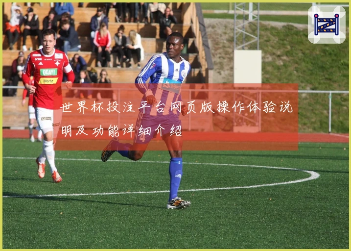 世界杯投注平台网页版操作体验说明及功能详细介绍