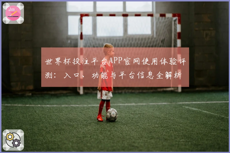 世界杯投注平台APP官网使用体验评测：入口、功能与平台信息全解析
